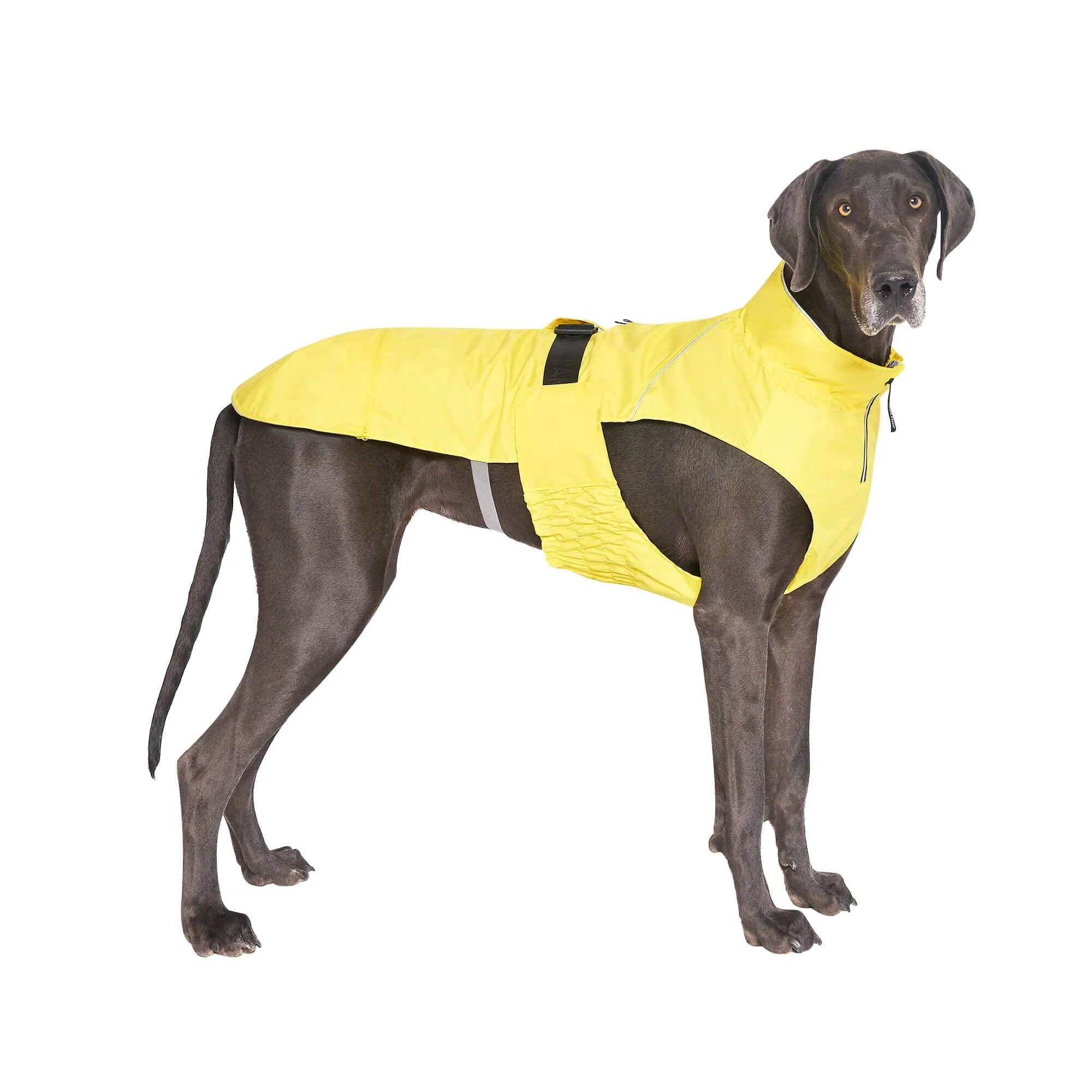 Canada Pooch Grow with Me Dog Raincoat - Yellow