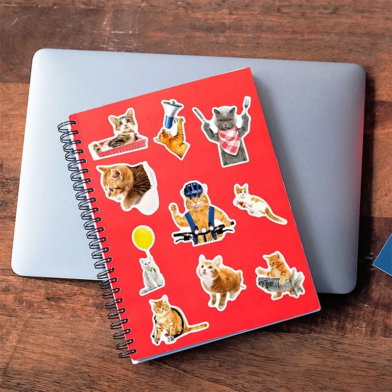 Cat Collection Realistic Expression Vinyl Stickers