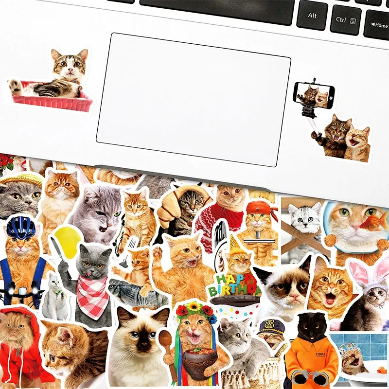 Cat Collection Realistic Expression Vinyl Stickers