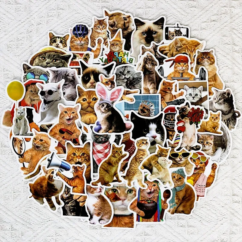 Cat Collection Realistic Expression Vinyl Stickers