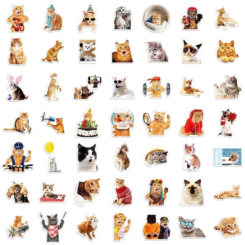 Cat Collection Realistic Expression Vinyl Stickers