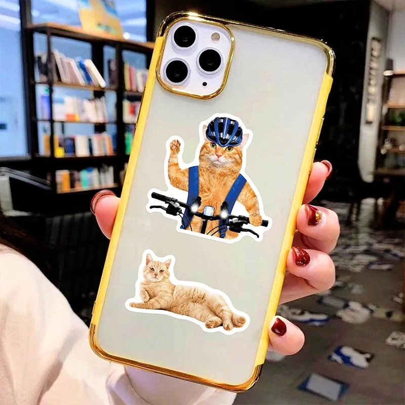 Cat Collection Realistic Expression Vinyl Stickers