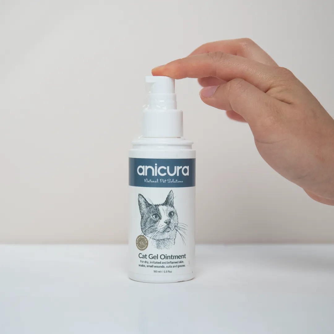 Cat Gel