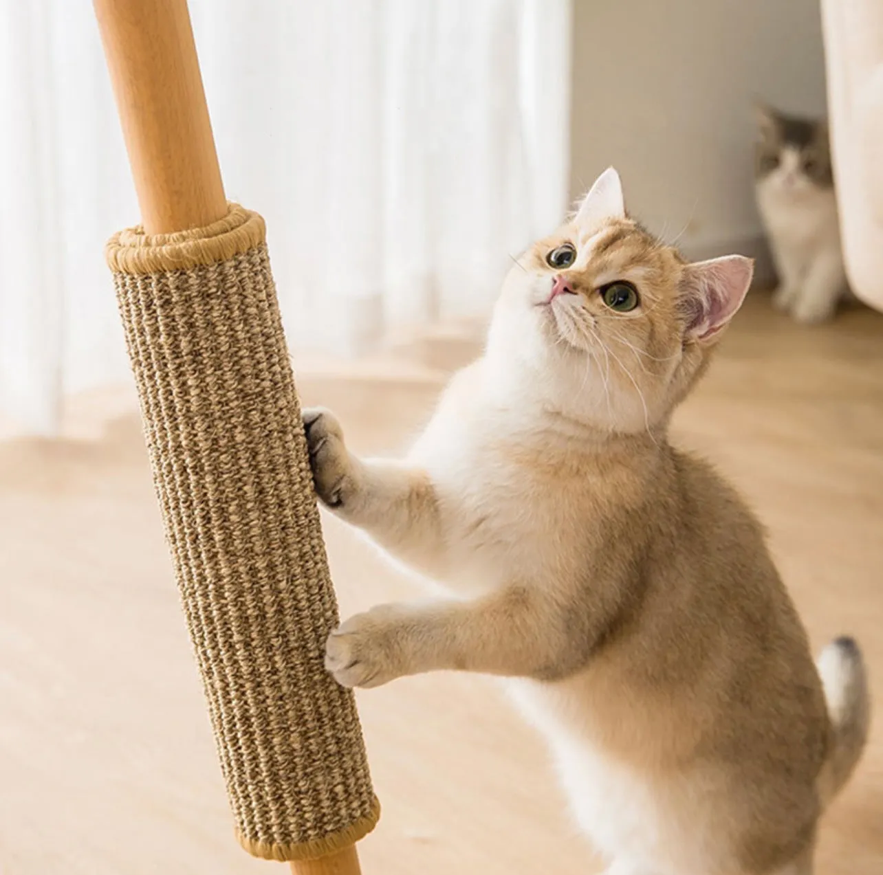Cat Scratchers - Sisal Scratching Mat