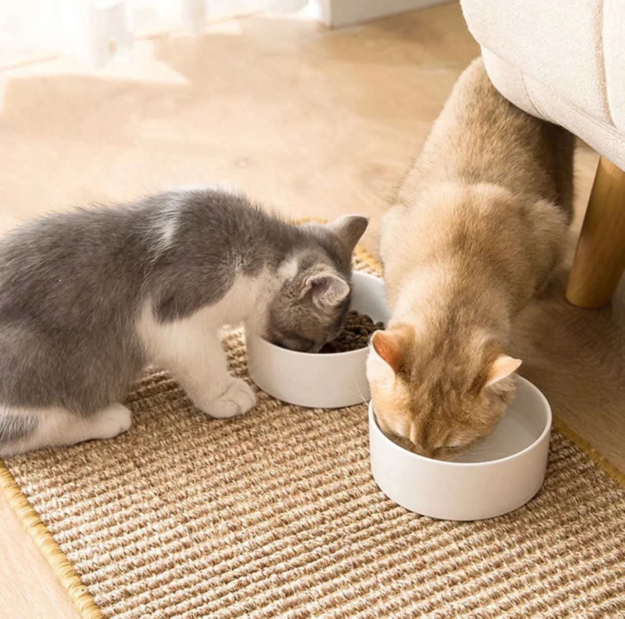 Cat Scratchers - Sisal Scratching Mat