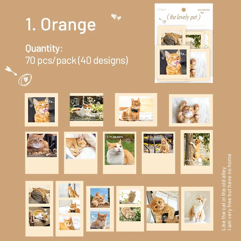 Cute Pet Photo Stickers - Cats, Dogs