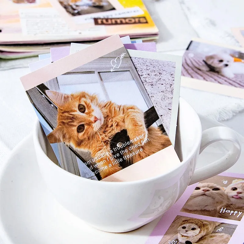 Cute Pet Photo Stickers - Cats, Dogs