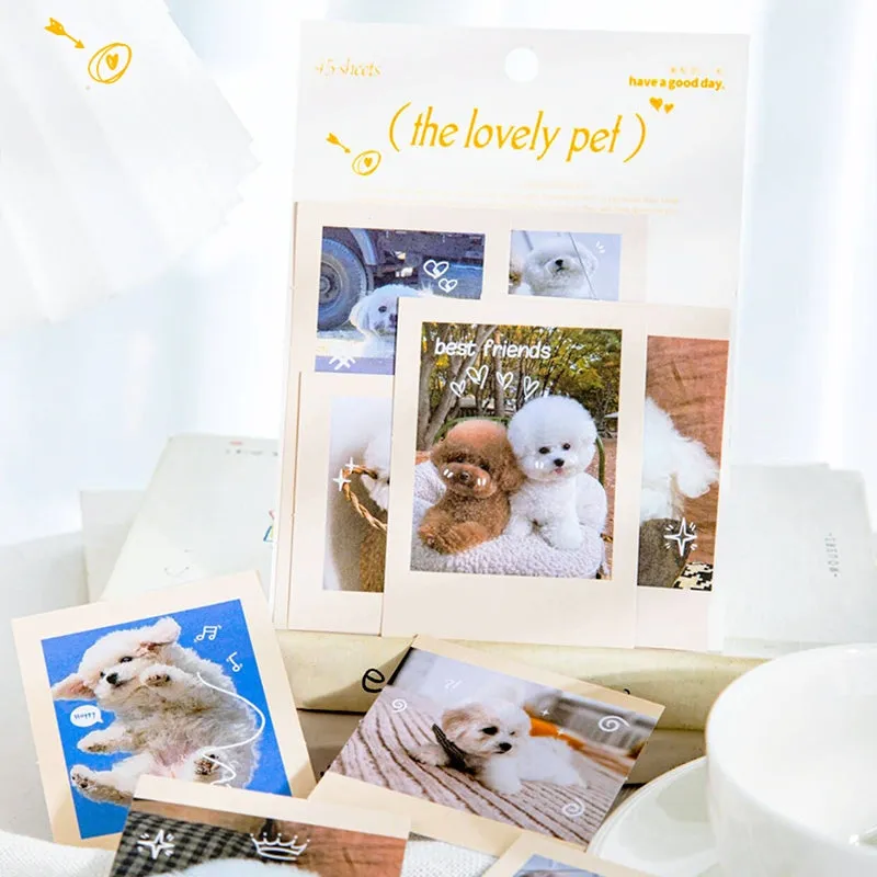 Cute Pet Photo Stickers - Cats, Dogs