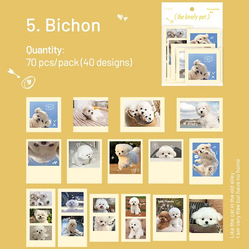Cute Pet Photo Stickers - Cats, Dogs