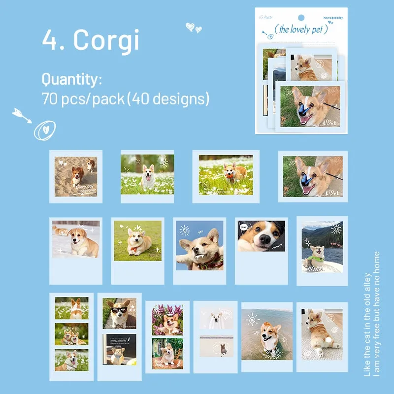Cute Pet Photo Stickers - Cats, Dogs