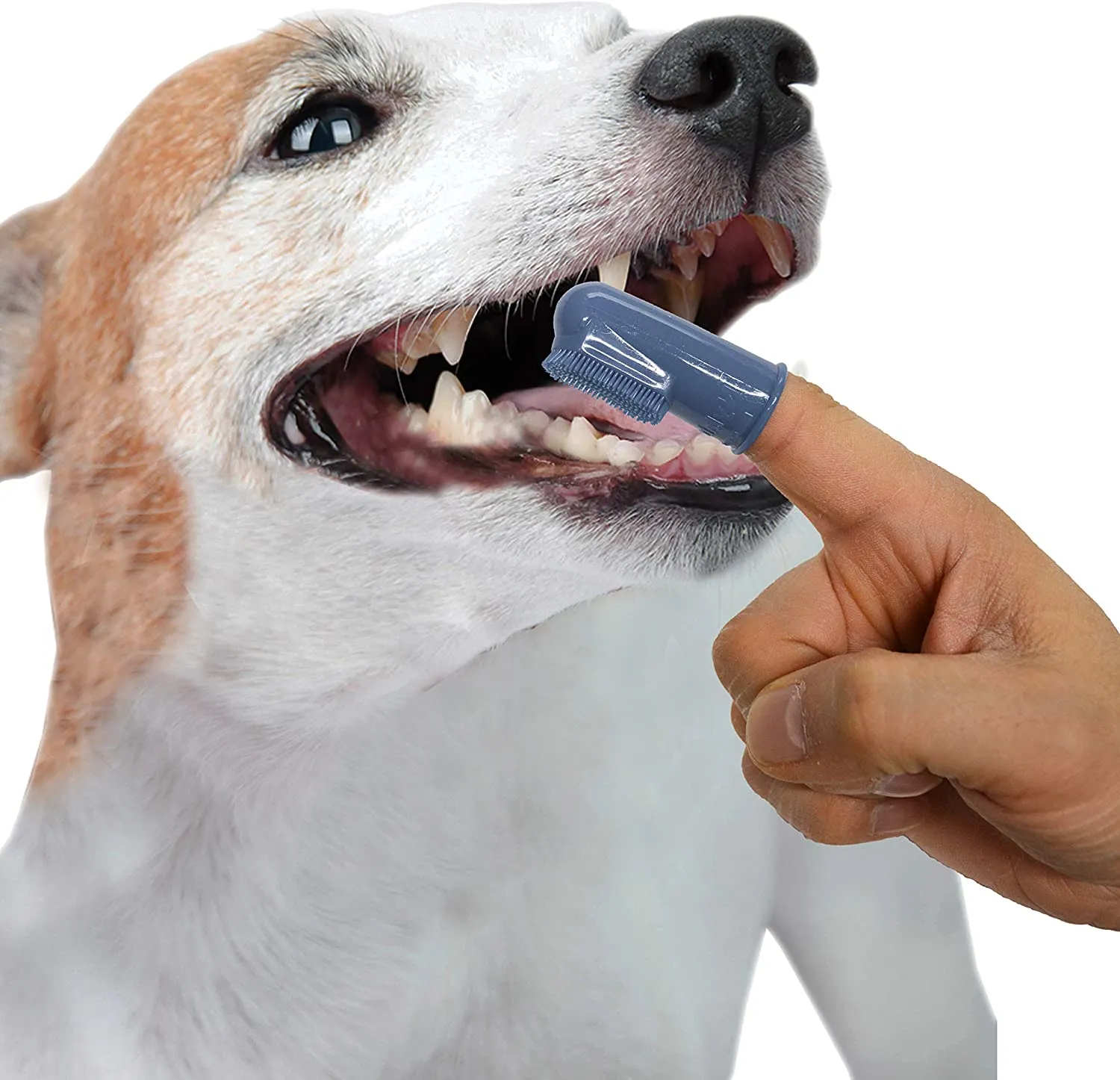Dog Finger Brush - Nylabone Advanced Oral Care Finger Brush 2 count
