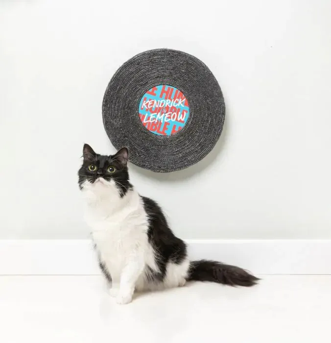 FuzzYard Record Cat Scratcher