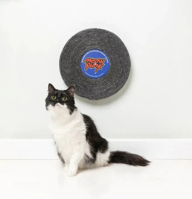 FuzzYard Record Cat Scratcher