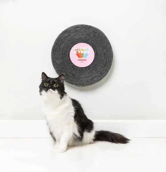 FuzzYard Record Cat Scratcher