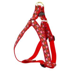 Harness | All Hearts