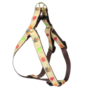 Harness | Apple Of My Eye