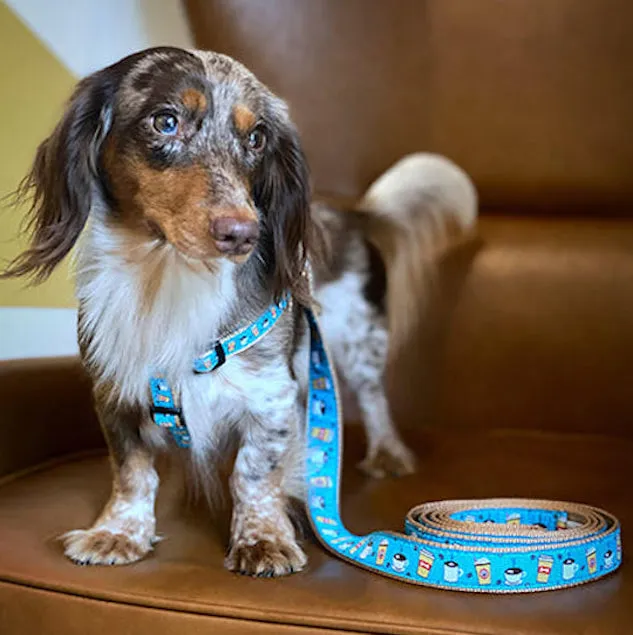 Harness | Coffee Nut