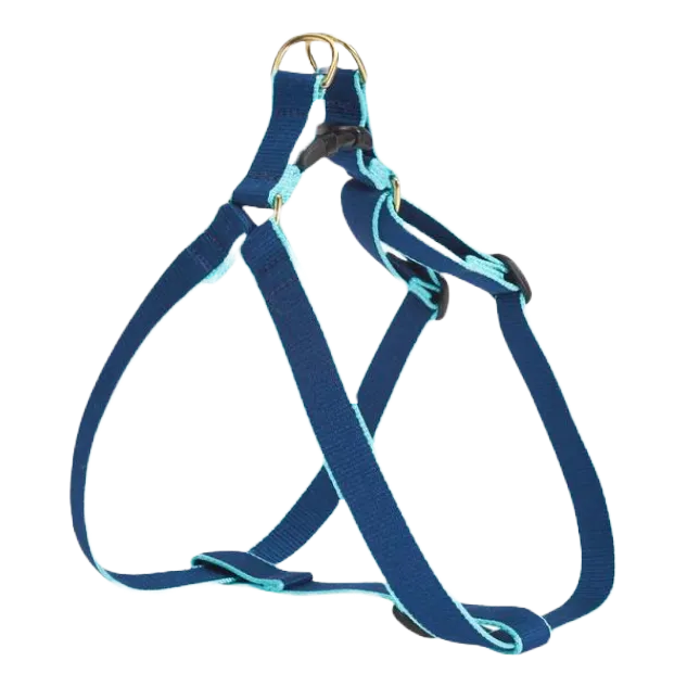 Harness | Navy & Aqua