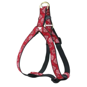 Harness | Red Bandana