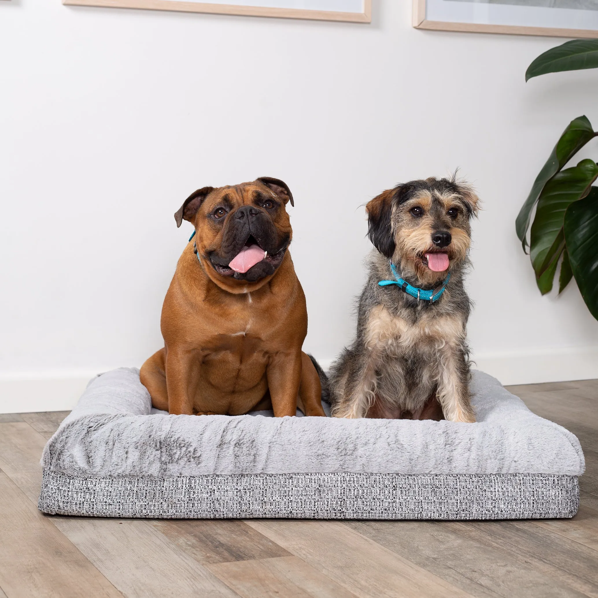 Kazoo Wombat Large Plush Grey Dog Bed^^^