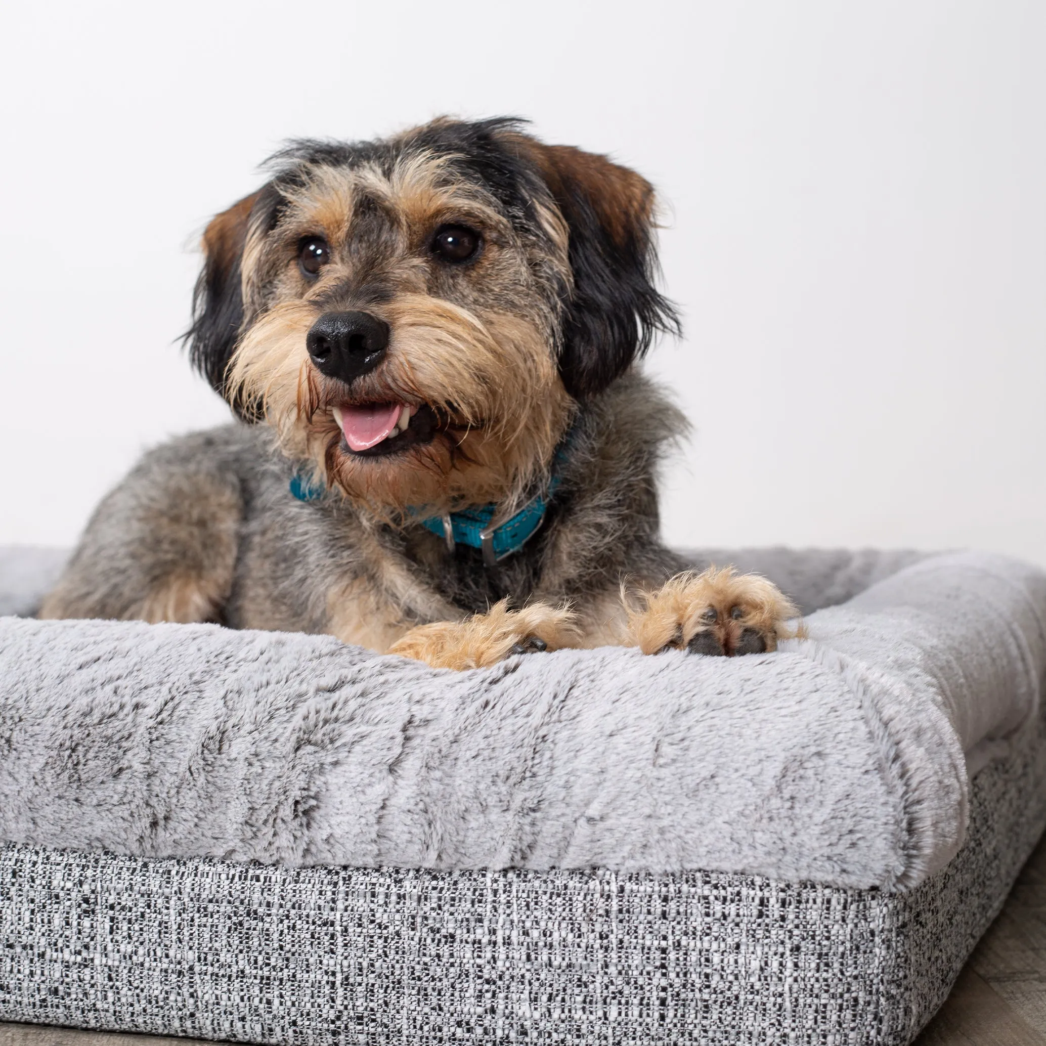 Kazoo Wombat Large Plush Grey Dog Bed^^^