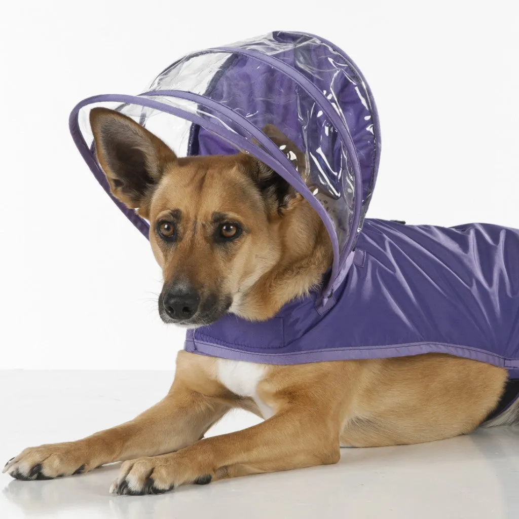 Purple Dog Raincoat