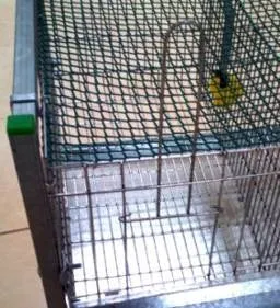 QUAIL CAGE 2 FLOORS