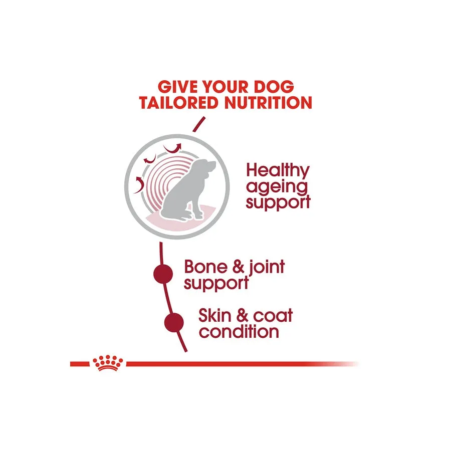 Royal Canin Medium Ageing 10 Plus Senior Dry Dog Food 15kg