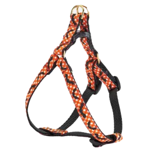 Teacup Harness | Batty