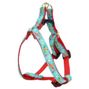 Teacup Harness | Cinco De Mayo