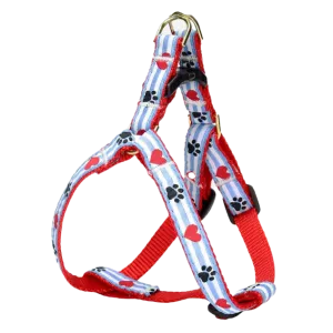 Teacup Harness | Pawprint Stripes