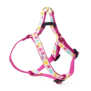 Teacup Harness | Spring Fever