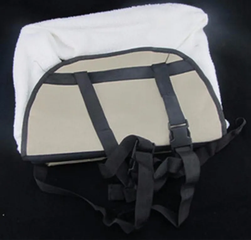 Travel Car Seat Pet Booster Carrier