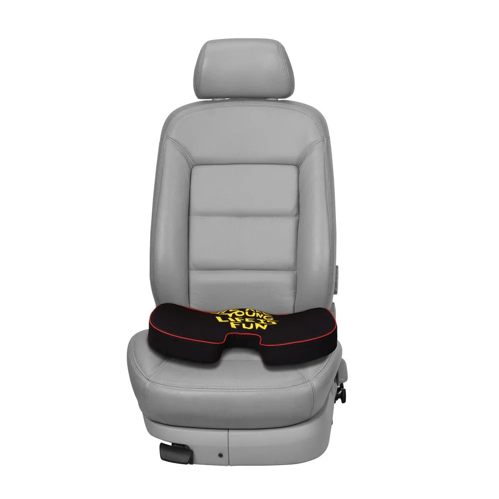 We Are Young Life Is Fun Seat Cushion with Memory Foam Black